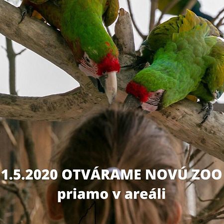 Penzion Eko Park Piestany Luaran gambar