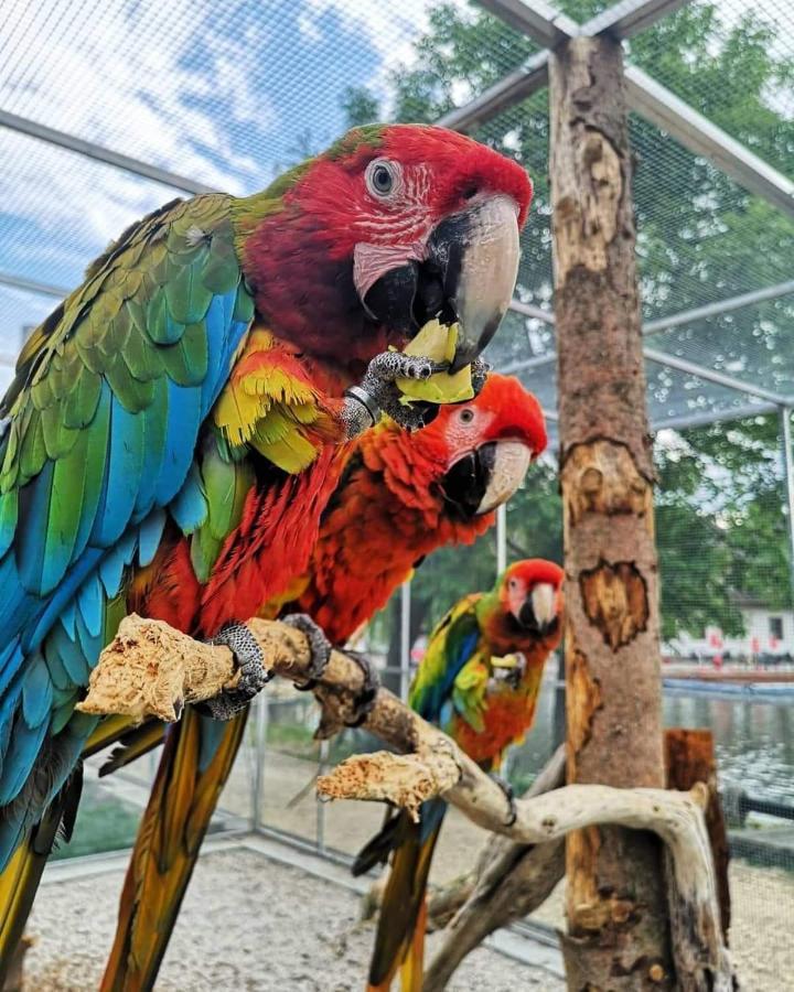 Penzion Eko Park Piestany Luaran gambar